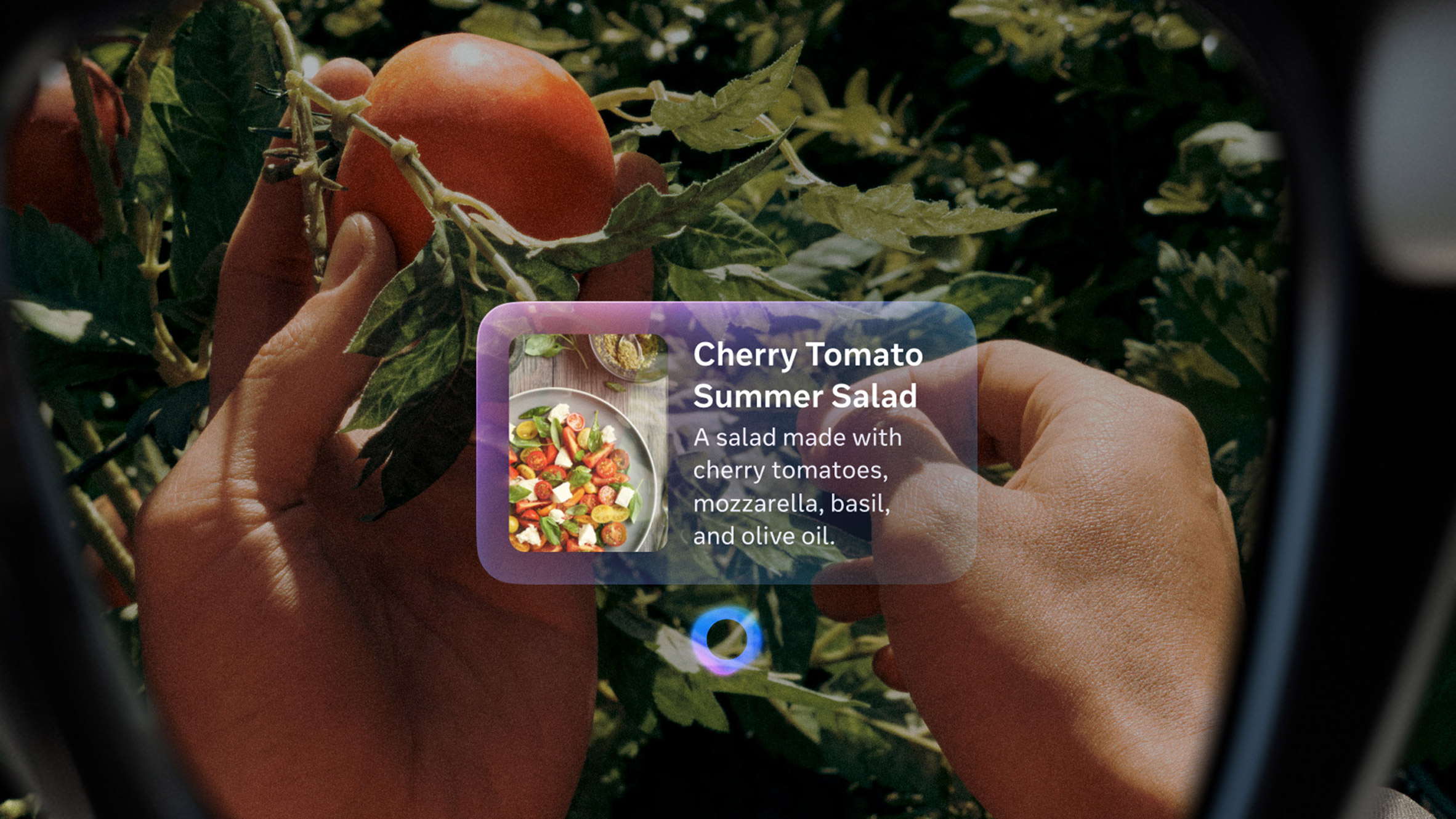 Image of an augmented-reality display over a view of a tomato plant showing a recipe for cherry tomato summer salad